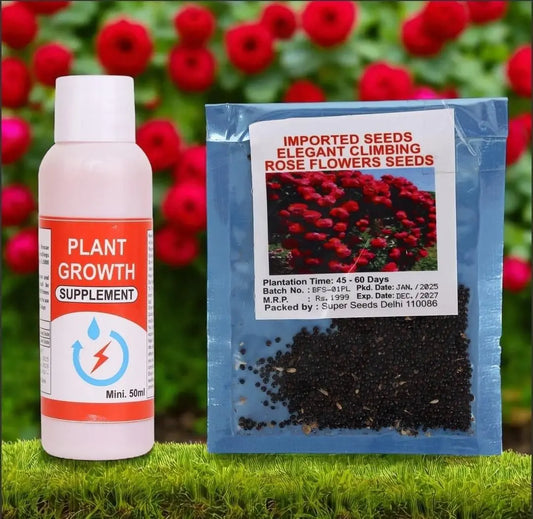 Climbing Rose Flower Seeds