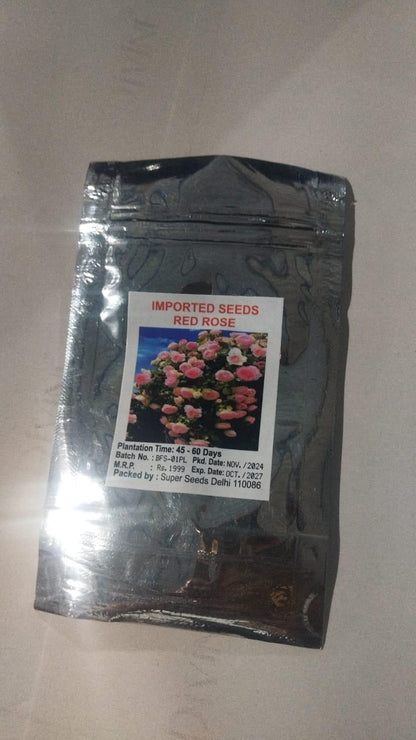 Elegant Climbing Rose Flower Seeds - Femme Bazaar