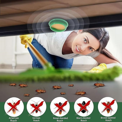 Cockroach Killer Gel (Pack Of 2)