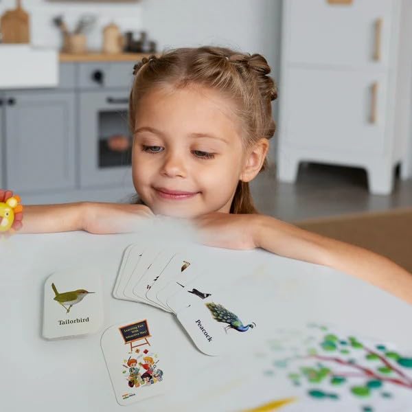 Early Learner Flashcard Set – 224 Durable Educational Learning Cards